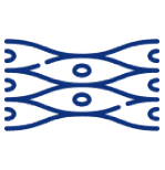 icono fibra muscular